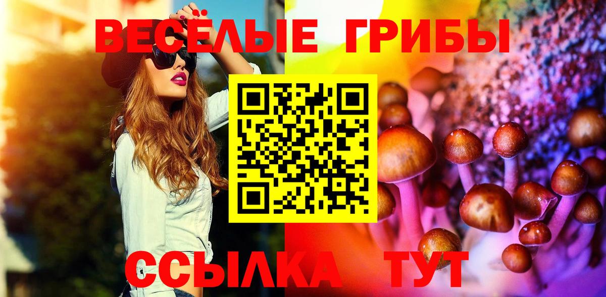 Кушва  Псилоцибиновые грибы Psilocybine cubensis  Вход с VPN  Псилоцибиновые грибы мицелий 
